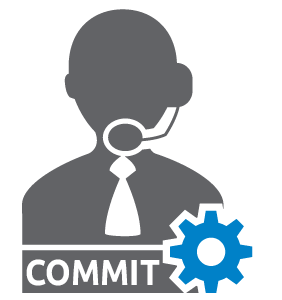 COMMIT-INS-AOP - AEM SERVER ADV PROF SERVICES